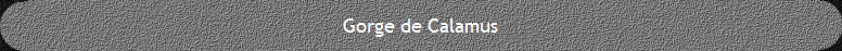 Gorge de Calamus