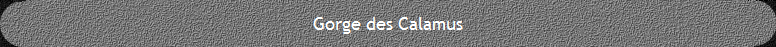 Gorge des Calamus